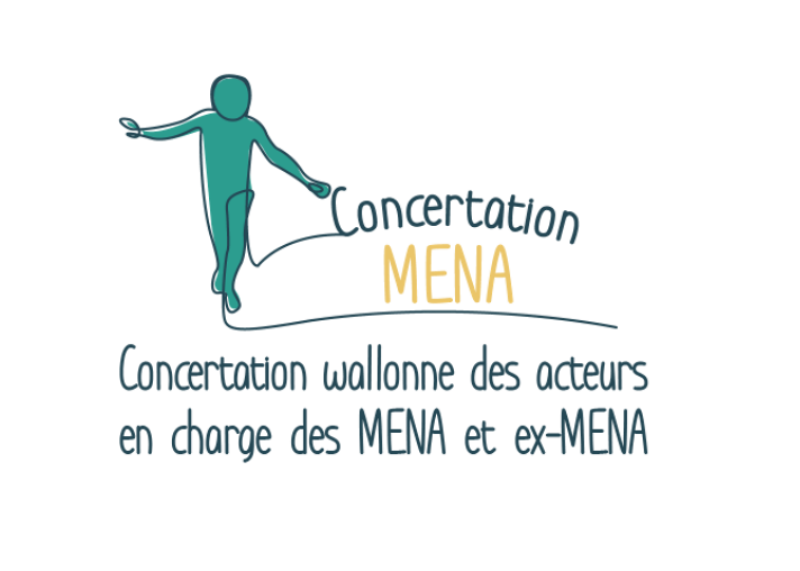 Groupe Concertation MENA (Overleggroep NBMV)